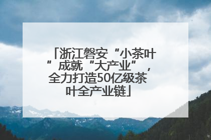 浙江磐安“小茶叶”成就“大产业”，全力打造50亿级茶叶全产业链