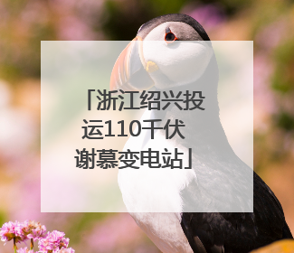 浙江绍兴投运110千伏谢慕变电站