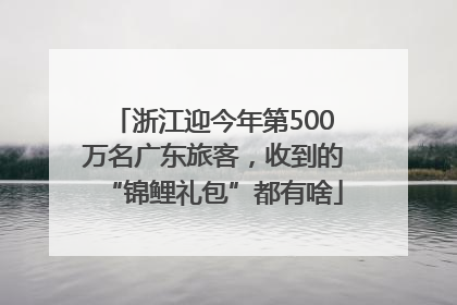 浙江迎今年第500万名广东旅客，收到的“锦鲤礼包”都有啥