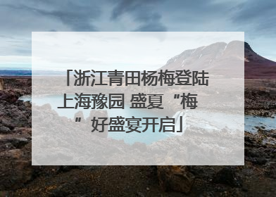 浙江青田杨梅登陆上海豫园 盛夏“梅”好盛宴开启