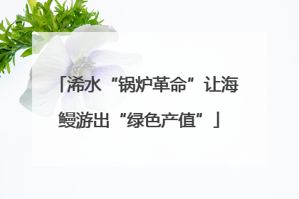 浠水“锅炉革命”让海鳗游出“绿色产值”