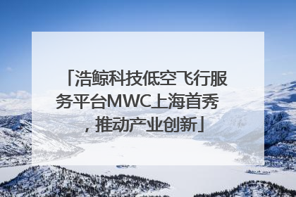 浩鲸科技低空飞行服务平台MWC上海首秀，推动产业创新