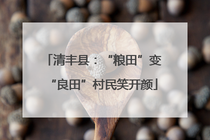 清丰县：“粮田”变“良田”村民笑开颜