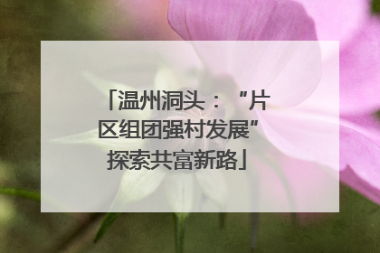 温州洞头：“片区组团强村发展”探索共富新路