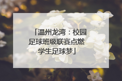 温州龙湾：校园足球班级联赛点燃学生足球梦