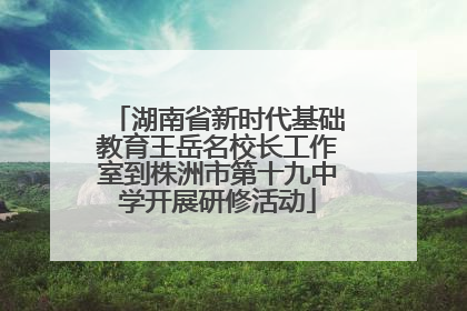 湖南省新时代基础教育王岳名校长工作室到株洲市第十九中学开展研修活动