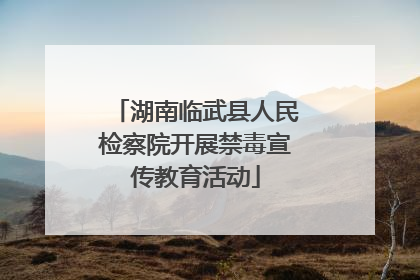 湖南临武县人民检察院开展禁毒宣传教育活动
