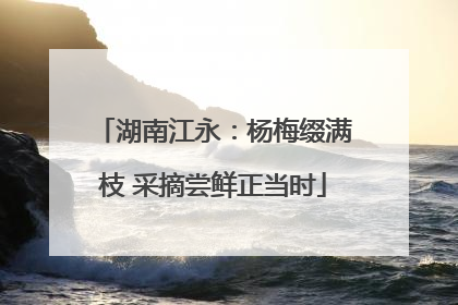湖南江永：杨梅缀满枝 采摘尝鲜正当时