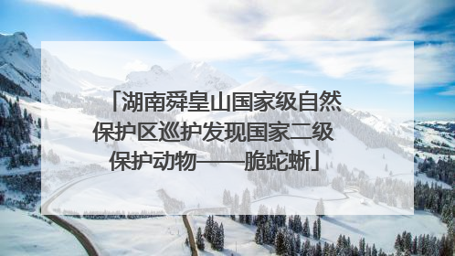 湖南舜皇山国家级自然保护区巡护发现国家二级保护动物——脆蛇蜥