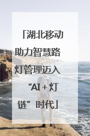 湖北移动助力智慧路灯管理迈入“AI＋灯链”时代