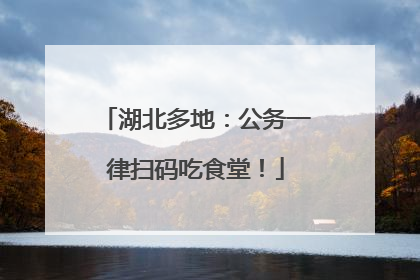 湖北多地：公务一律扫码吃食堂！