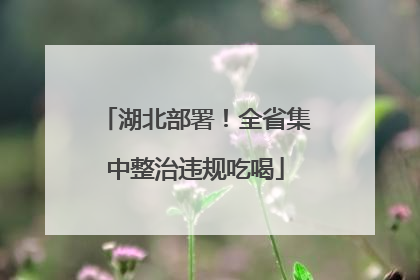 湖北部署！全省集中整治违规吃喝