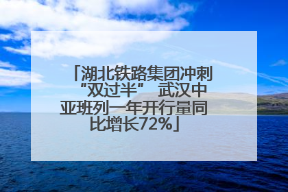 湖北铁路集团冲刺“双过半” 武汉中亚班列一年开行量同比增长72%