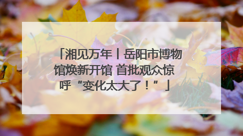 湘见万年丨岳阳市博物馆焕新开馆 首批观众惊呼“变化太大了！”