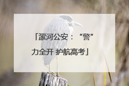 漯河公安:“警”力全开 护航高考
