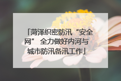 菏泽织密防汛“安全网” 全力做好内河与城市防汛备汛工作