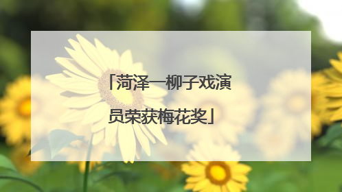 菏泽一柳子戏演员荣获梅花奖