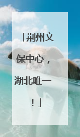 荆州文保中心，湖北唯一！