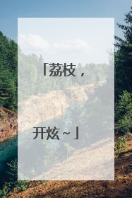 荔枝，开炫～