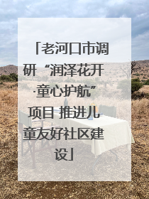 老河口市调研“润泽花开·童心护航”项目 推进儿童友好社区建设