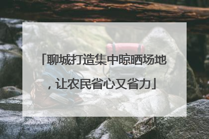 聊城打造集中晾晒场地，让农民省心又省力