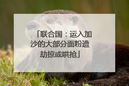 联合国：运入加沙的大部分面粉遭劫掠或哄抢