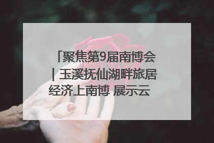 聚焦第9届南博会｜玉溪抚仙湖畔旅居经济上南博 展示云南生活新样本