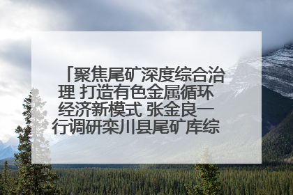 聚焦尾矿深度综合治理 打造有色金属循环经济新模式 张金良一行调研栾川县尾矿库综合治理工作