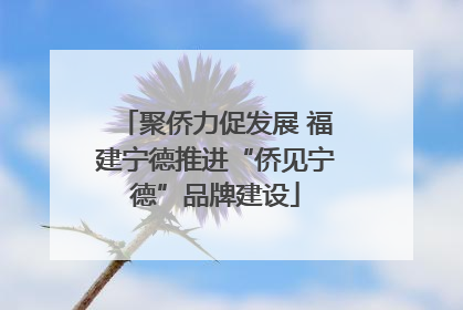 聚侨力促发展 福建宁德推进“侨见宁德”品牌建设
