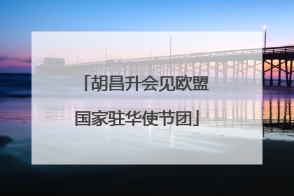 胡昌升会见欧盟国家驻华使节团