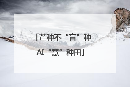 芒种不“盲”种 AI“慧”种田
