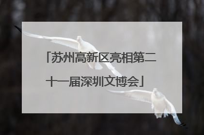 苏州高新区亮相第二十一届深圳文博会