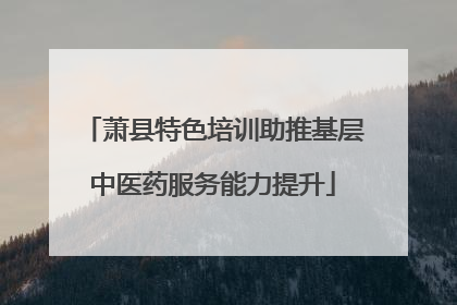 萧县特色培训助推基层中医药服务能力提升
