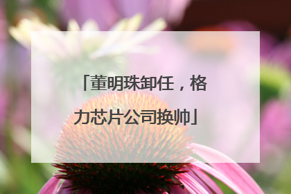 董明珠卸任，格力芯片公司换帅