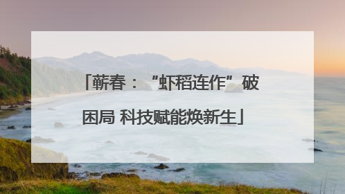 蕲春：“虾稻连作”破困局 科技赋能焕新生
