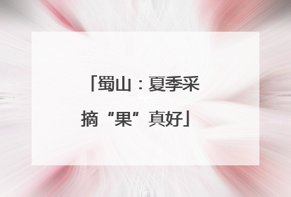 蜀山：夏季采摘“果”真好