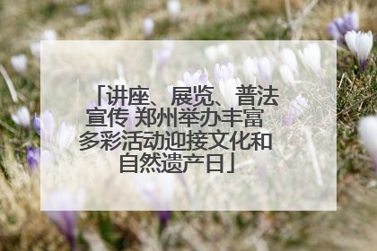讲座、展览、普法宣传 郑州举办丰富多彩活动迎接文化和自然遗产日