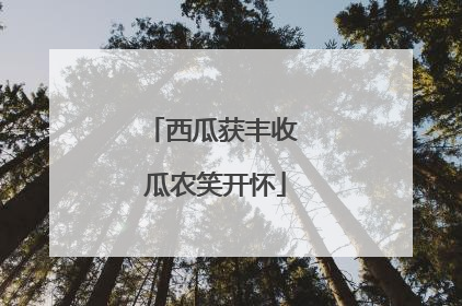 西瓜获丰收 瓜农笑开怀