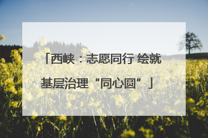 西峡：志愿同行 绘就基层治理“同心圆”