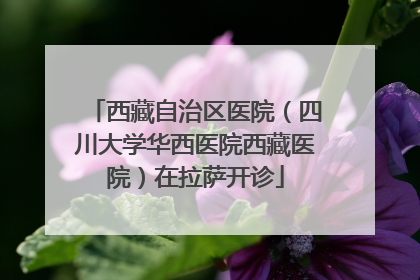 西藏自治区医院（四川大学华西医院西藏医院）在拉萨开诊
