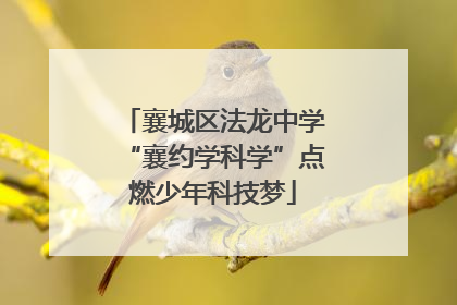襄城区法龙中学“襄约学科学”点燃少年科技梦