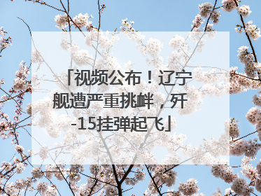 视频公布！辽宁舰遭严重挑衅，歼-15挂弹起飞