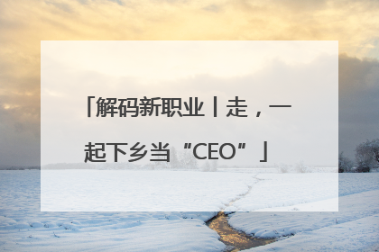 解码新职业丨走，一起下乡当“CEO”