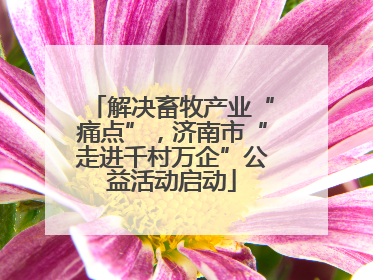 解决畜牧产业“痛点”，济南市“走进千村万企”公益活动启动