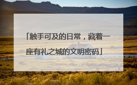 触手可及的日常，藏着一座有礼之城的文明密码