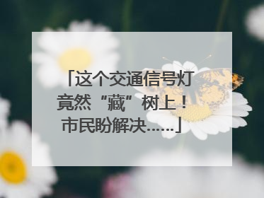 这个交通信号灯竟然“藏”树上！市民盼解决……