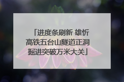 进度条刷新 雄忻高铁五台山隧道正洞掘进突破万米大关
