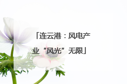 连云港：风电产业“风光”无限