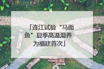 连江试验“马面鱼”夏季高温混养 为福建首次