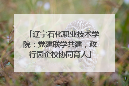 辽宁石化职业技术学院：党建联学共建，政行园企校协同育人